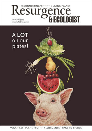 Issue 318