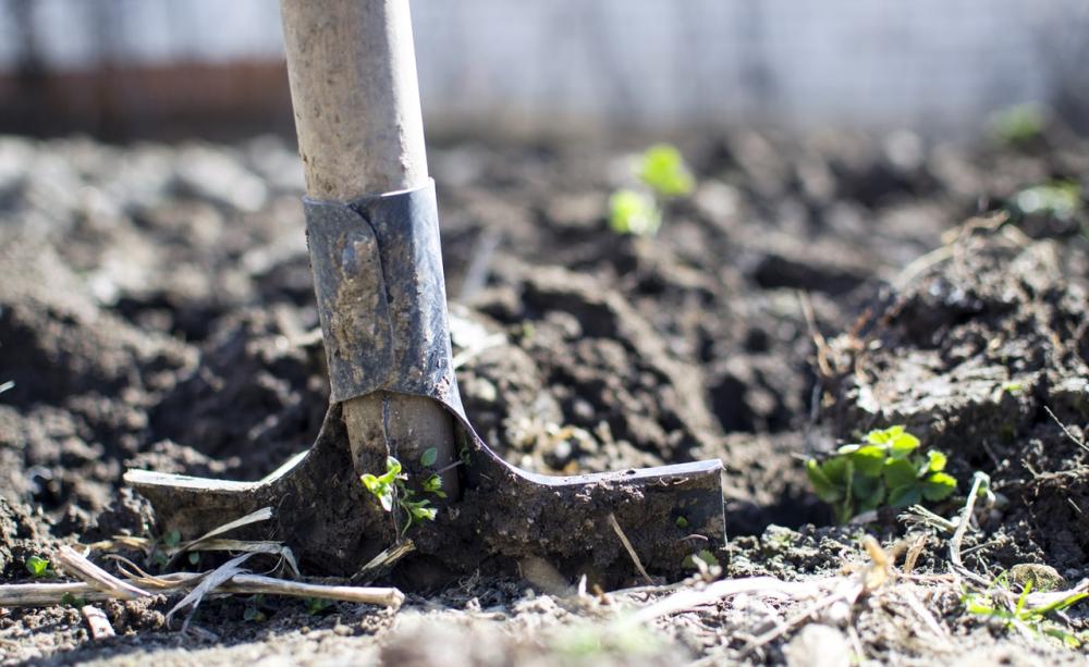 Sustainable food production
