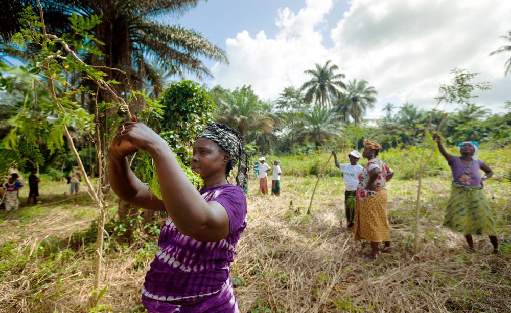 Cooperative agriculture