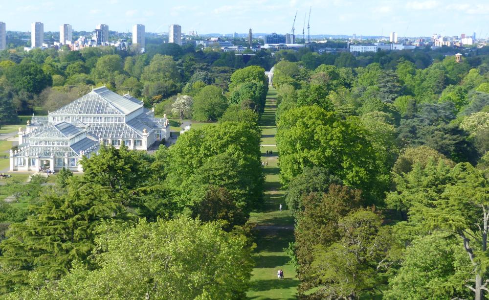 Aerial view of Kew Gardens showing trees