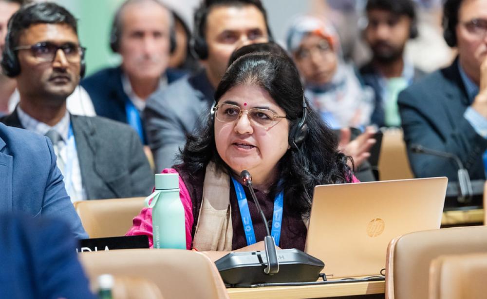 The Indian delegation at a plenary at COP29