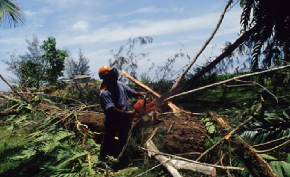 Logging