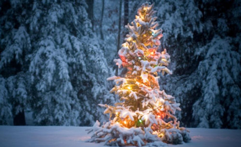 A Christmas tree