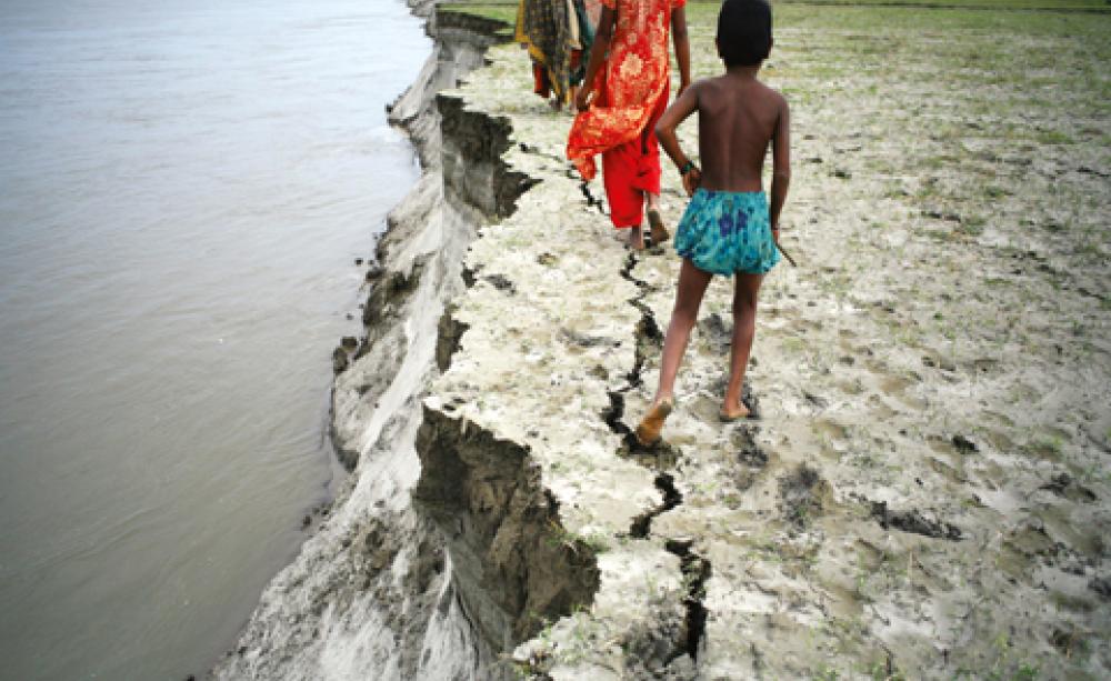 People Tree in Bangladesh