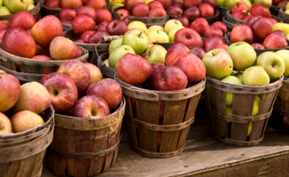 apples