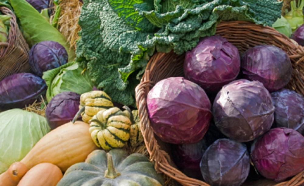 november veg