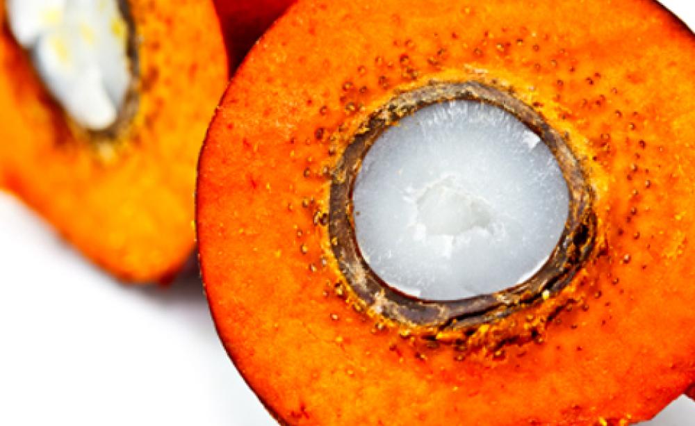 palm oil