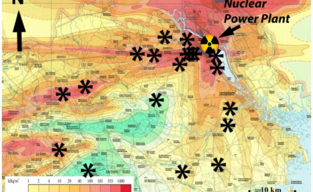 Stars mark sites where the researchers put the leaf bags, with colors corresponding to levels of radiation. Photo: Mousseau et al., Oecologia.