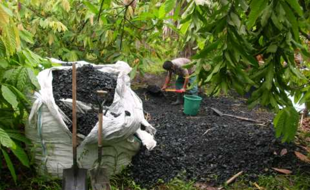 Locally produced biochar. Photo: Carbon Gold.