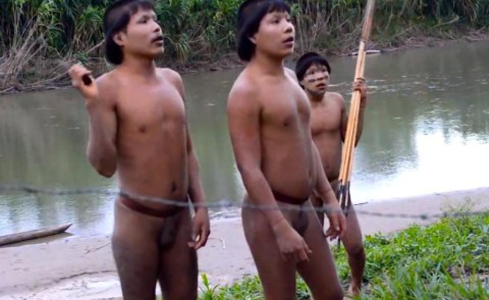 Uncontacted Indians making contact with a settled Ashaninka community near the Brazil-Peru border, June 2014. Photos: © FUNAI.