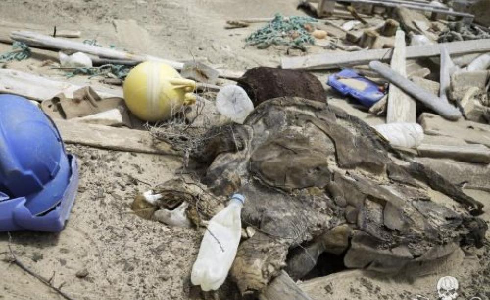 A loggerhead turtle lost among the garbage lies dead, baked under the midday sun. Photo: Simon Ager / Sea Shepherd.