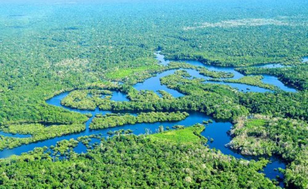 Aerial view of the Amazon Rainforest, near Manaus, Amazonas, Brazil. Photo: Neil Palmer / CIAT for Center for International Forestry Research (CIFOR).