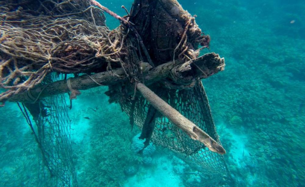 A bamboo-net FAD on Farquhar Atoll, Seychelles. Photo: ICS.