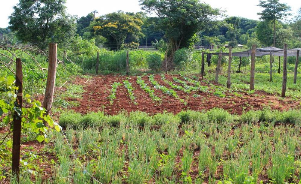 This is the real 'Climate Smart Agriculture' - but surely not at all what the agribusiness corporations have in mind! Photo: Helena Paul.