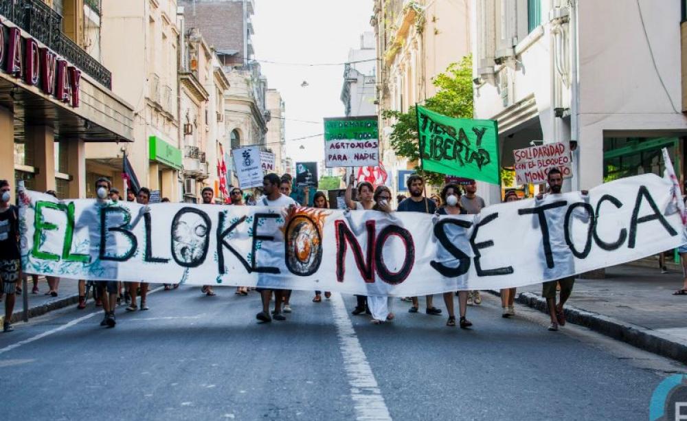 Protestors in Rosario, Argentina, comes out in support of the Monsanto blockade at Malvinas Argentinas, tth January 2016. Photo: Fernando Der Meguerditchian / Cooperativa de Comunicación La Brújula via Facebook.