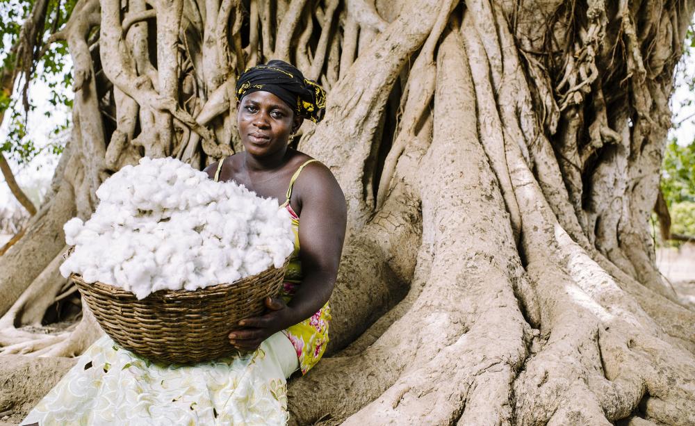 Dadjan Wassinatou, 34, holds a basket of freshly harvested cotton in the village of Zorro, Burkina Faso. Photo: CIFOR via Flickr (CC BY-NC).