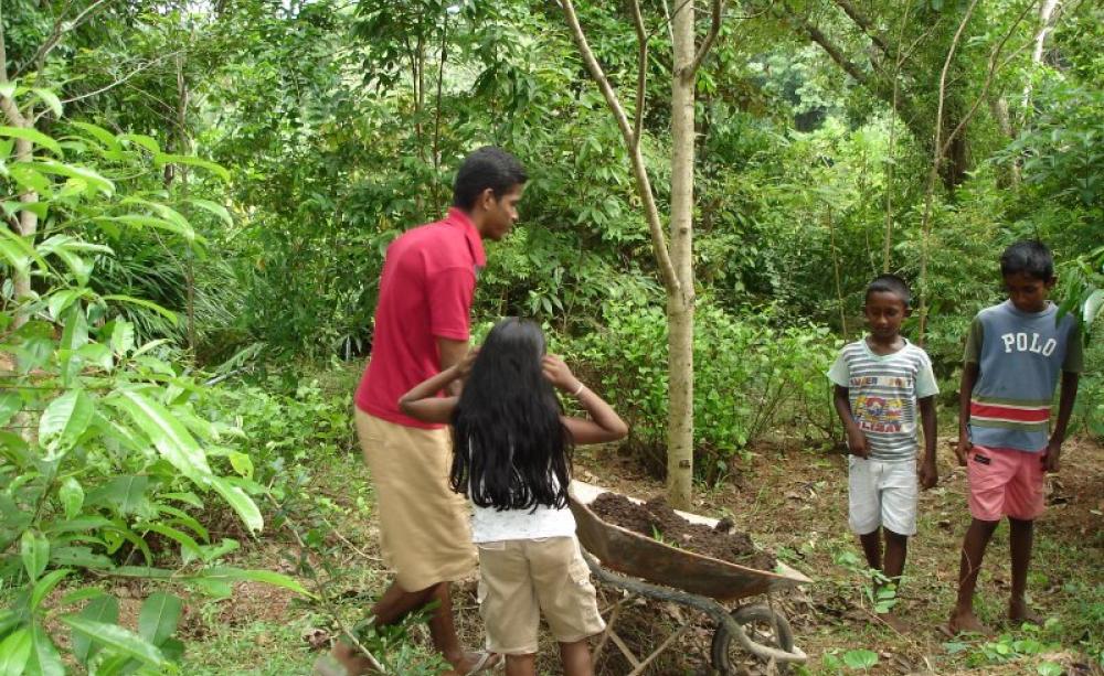 Children learn about the wild fruits of the forest. Photo: Damitha Rajapakse.