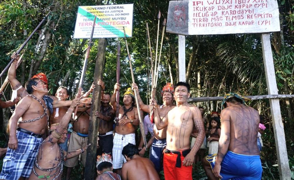 Munduruku indigenous people set up a sign to demarcate their land. Photo: Greenpeace.