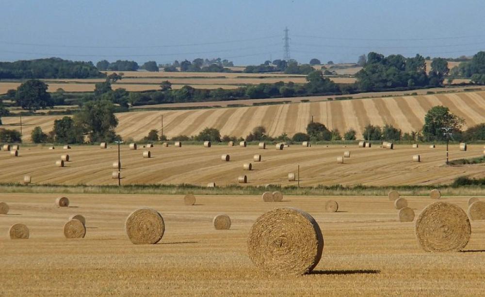 Intensive arable farming near Eakring, Nottinghamshire, England, carried out with massive taxpayer-funded subsidies to wealthy landowners. Photo: Andrew Hill via Flickr (CC BY-ND).