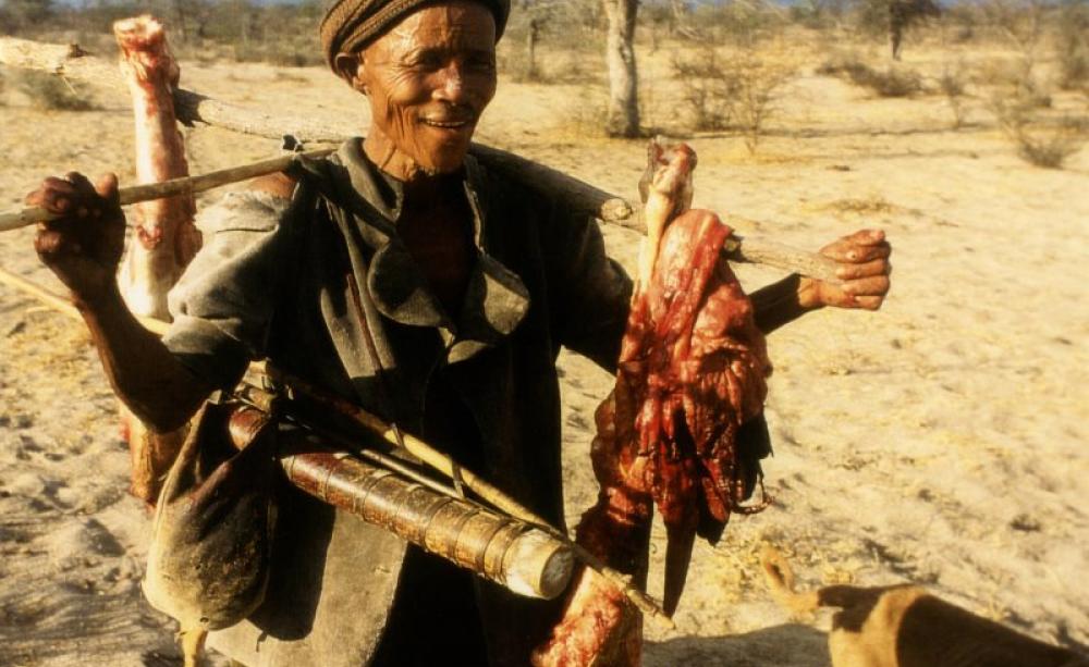 Bushmen have hunted at subsistence levels in the Kalahari for millennia. Photo: Survival International.