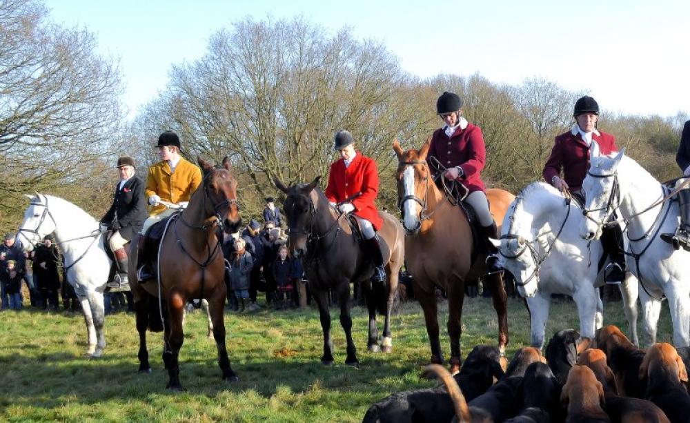 The Kimblewick hunt on its Boxing Day meet, 2016. Photo: Roger Marks via Flickr (CC BY-NC-ND).