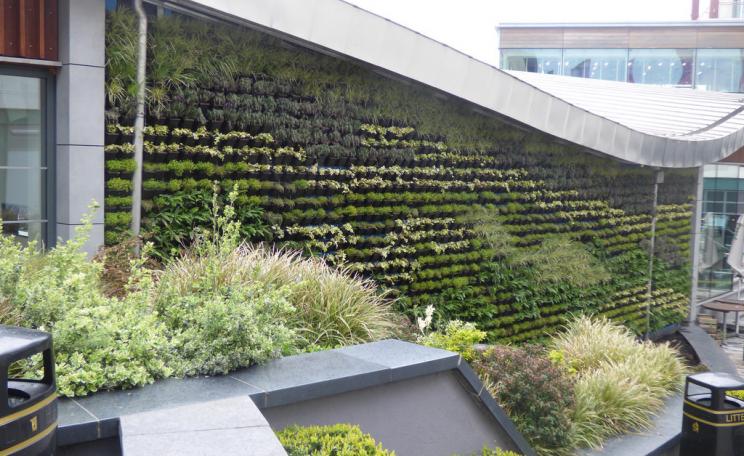 Living wall