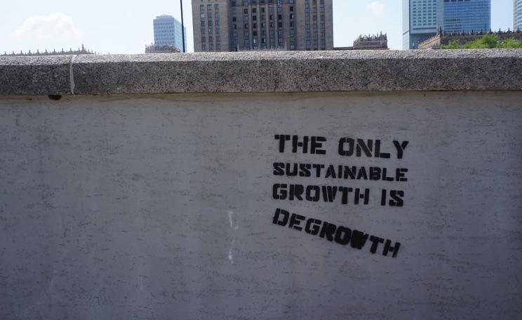 Degrowth