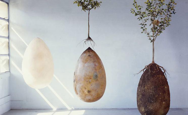 Capsula Mundi