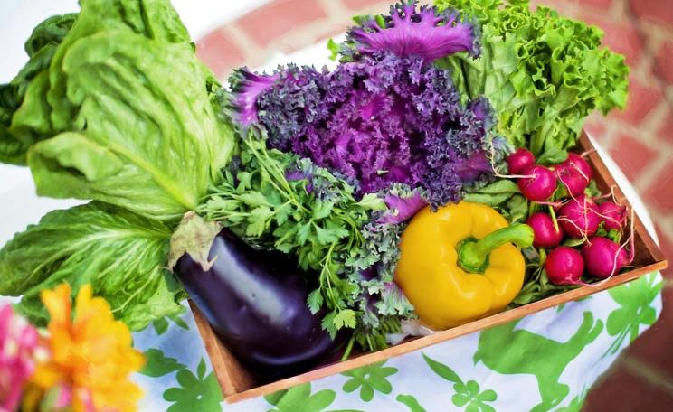 Vegetables