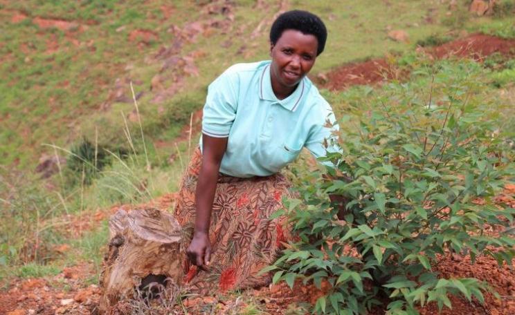 Kayibonua Julienne, secretary of the KOTABB cooperativ