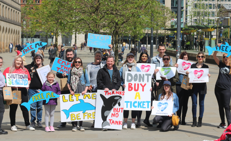 Wild and free beings launch 