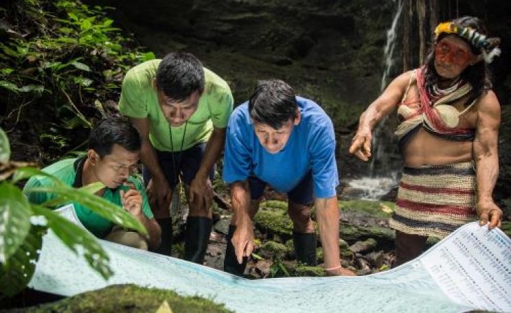 The Ceibo Alliance is a movement helping communities protect their lands 