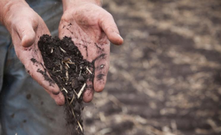 Rich dark soil pouring from hands