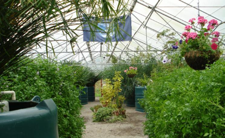 Findhorn's Living Machine