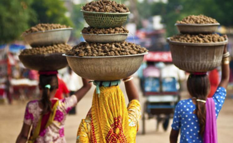 India organic food