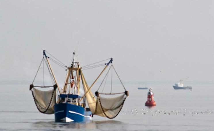 trawler