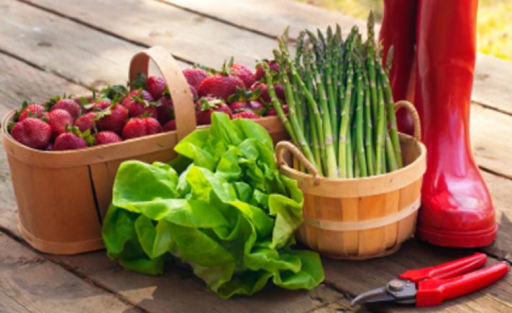 August produce
