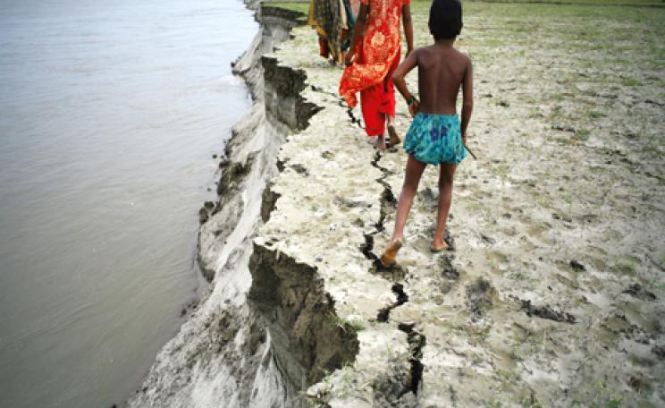 People Tree in Bangladesh
