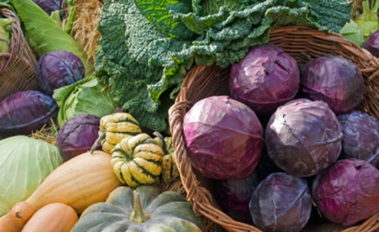 november veg