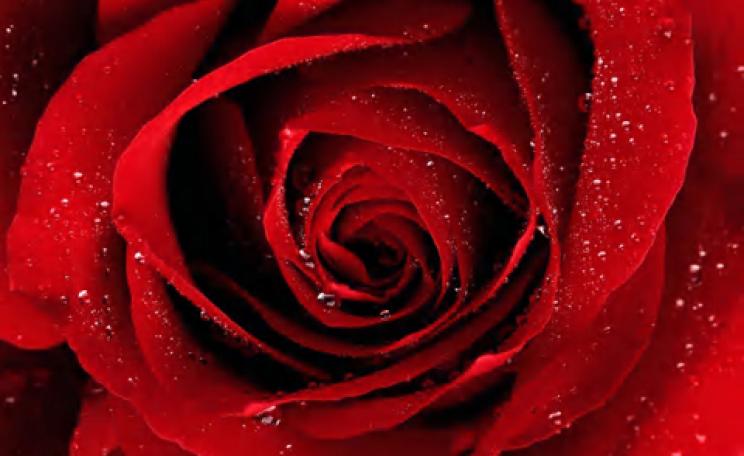 How to… make your own beauty products