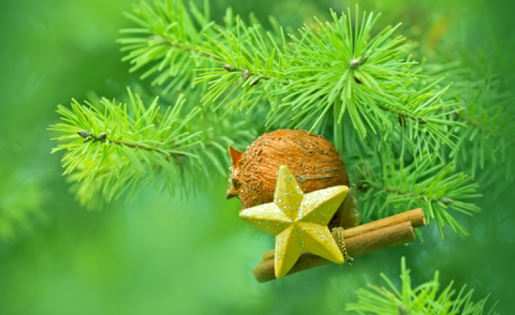 Photo: lola1960 / Shutterstock.com