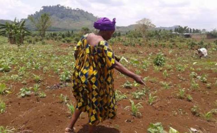 Small farmers - like Ndomi Magareth, planting beans here on her land in Cameroon - 'are losing land at a tremendous rate. It’s a land reform movement in reverse', says GRAIN’s Henk Hobbelink. Credit: Monde Kingsley Nfor/IPS
