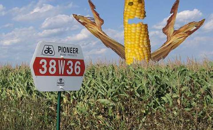 Coming to EU soon - unless the Parliament blocks it. Photo: Dawn One / © Linda and Mikael Hammond / IndyFoto.com via Flickr.