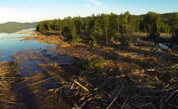 Hazeltine Creek on Quesnel Lake after the tailings dam collapse. Floating on the surface: the stripped off the mountainside by the force of the spill. Out of sight: 14.5 billion litres of toxic mining waste.