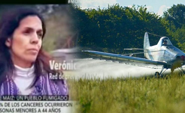 Monte Maiz Council unanimously approves an ordinance that bans the spraying of pesticides and the storage of agrochemicals in and near the town in Cordoba, Argentina. Photo: still from local TV report.