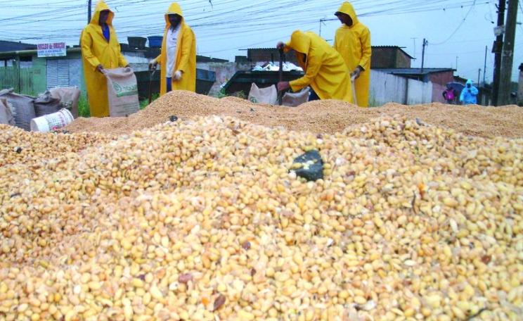 A store of probably GMO soya in Santos, Sao Paulo, Brazil. Photo: Márcio Garoni via Flickr (CC BY-NC).