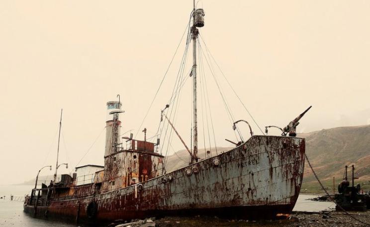 This is what was really doing the damage: industrial whaling by Britain, by ships like the Petrel, now an eerie hulk beached up on South Georgia Island. Photo: Christopher Michel via Flickr (CC BY).
