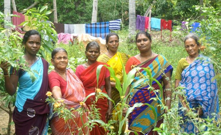 Members of the Womens' Collective of Tamil Nadu in a forest area where they are growing fruits and vegetables. Photo: WhyHunger.