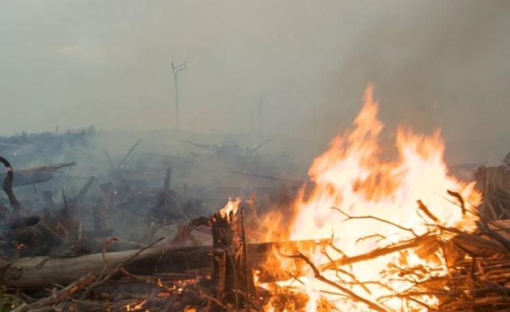 Drought and deforestation have proved to be a volatile combination in Indonesia. Photo: David Gilbert / Greenpeace, Author provided.