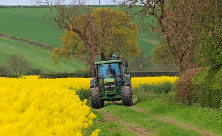 A farmer at work on his tractor amid oilseed rape (canola) in Oakwood, Derbyshire, England. Photo: John Bennett via Flickr (CC BY-NC-SA).